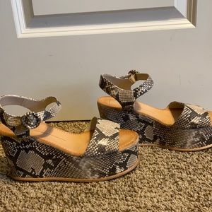 Dolce Vita snakeskin wedges